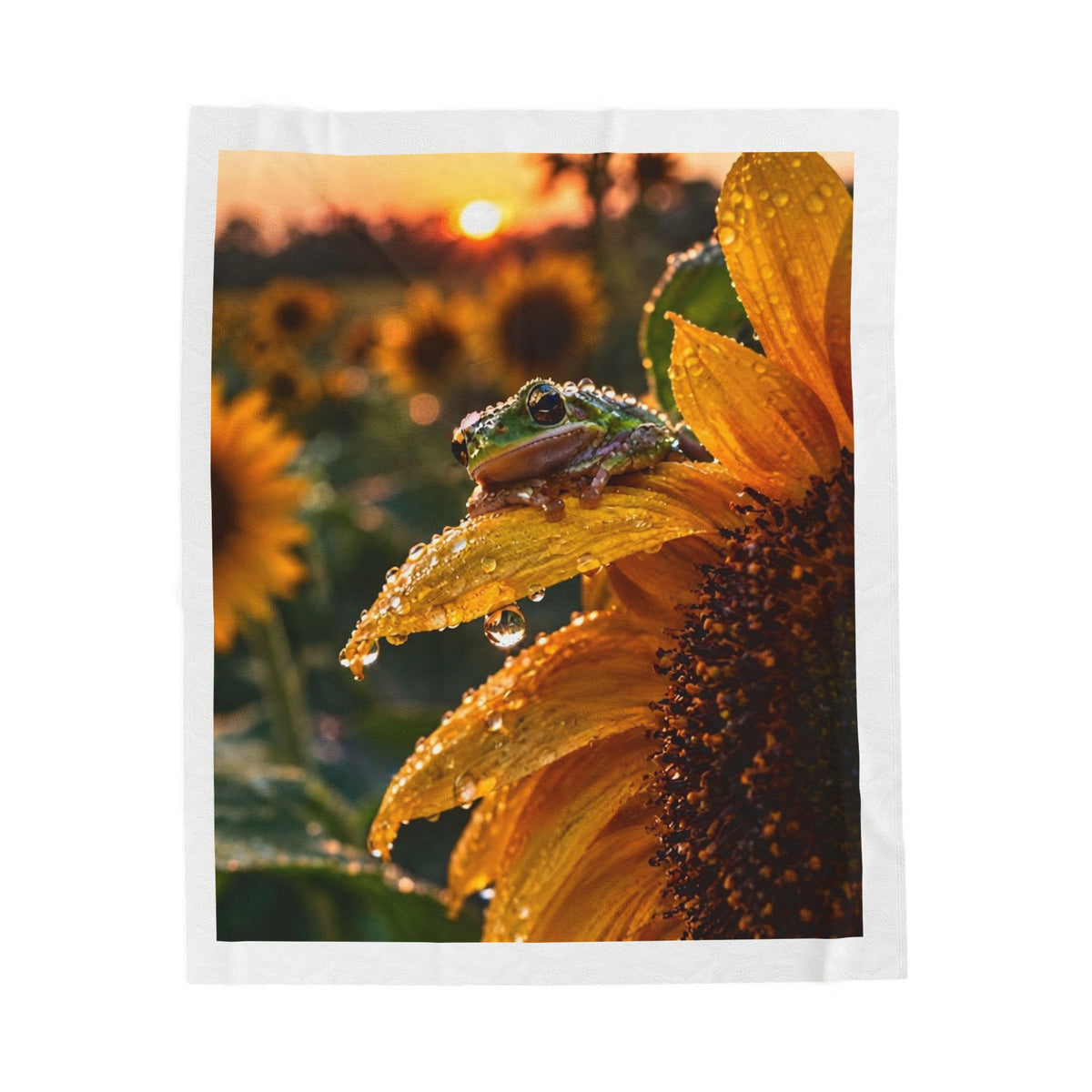 Sunflower Petal Close-Up Nature Tee — Botanical Art Print