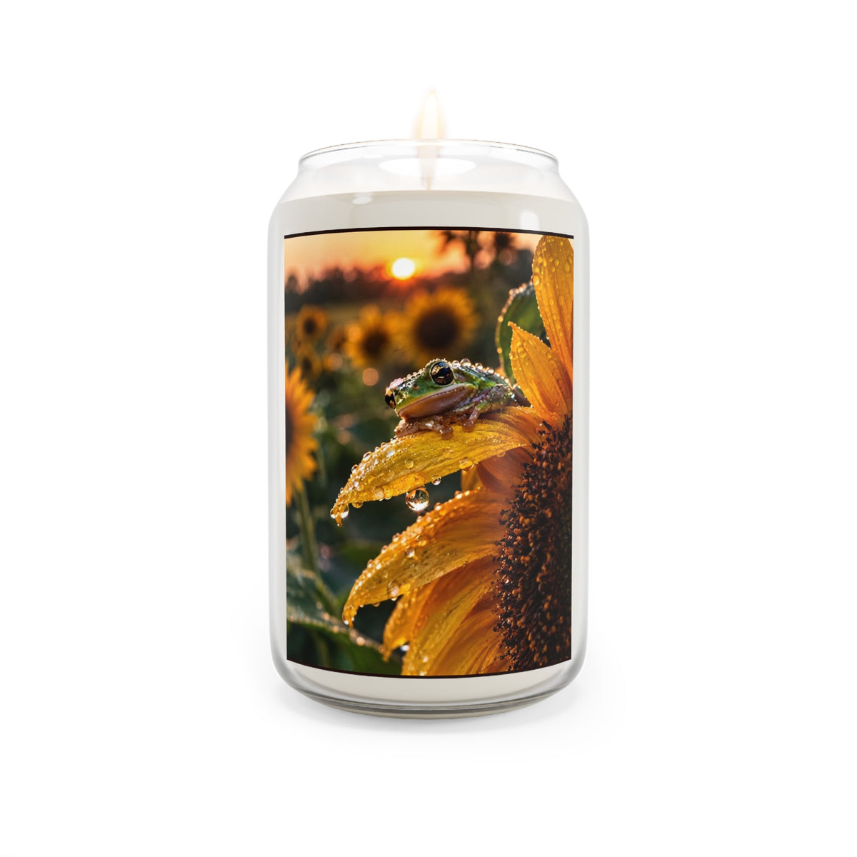 Froggy morning Scented Soy Candles